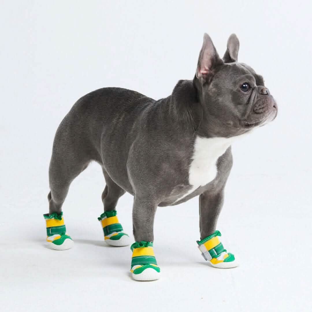 Hot Pavement Pawtector Dog Shoes - Image 28