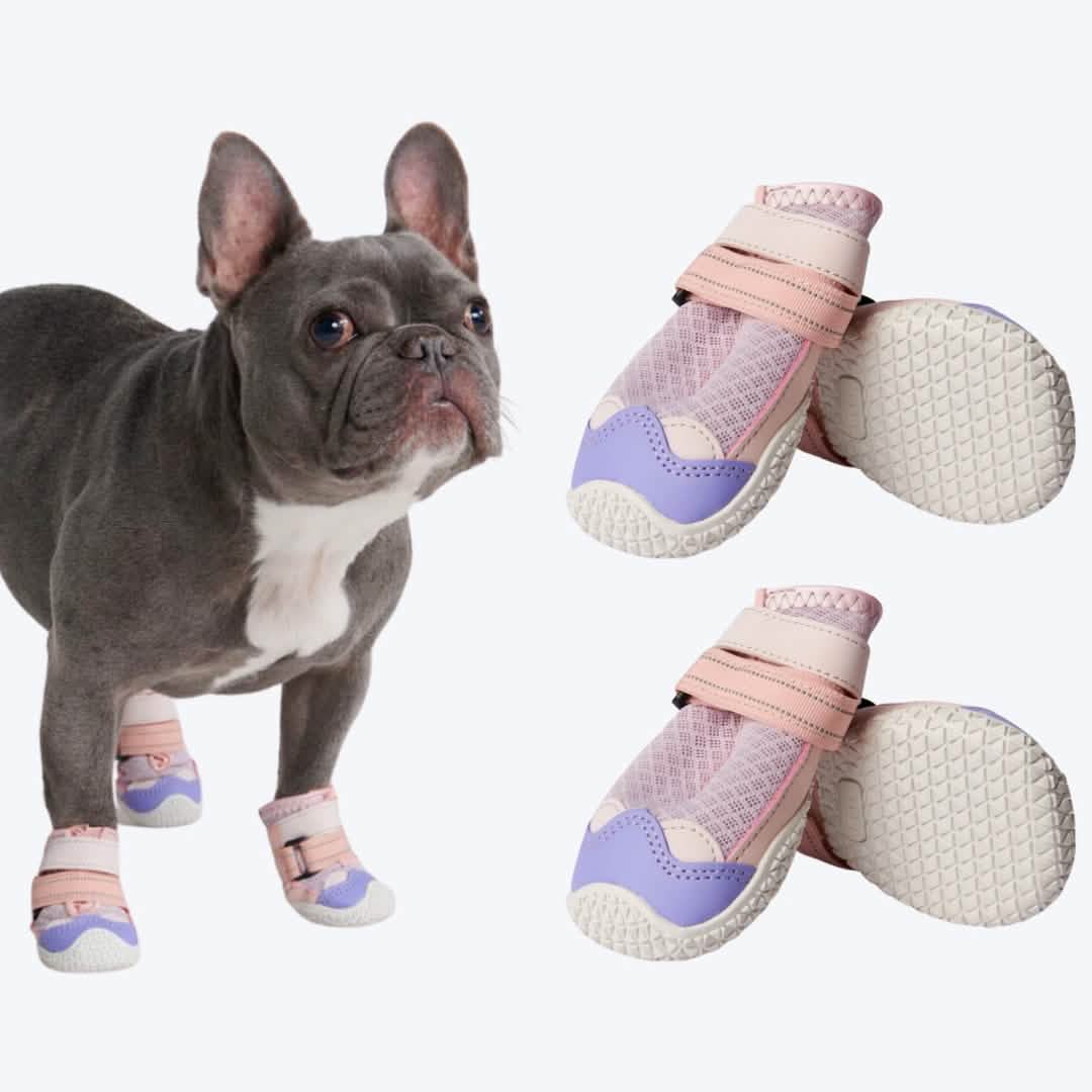 Hot Pavement Pawtector Dog Shoes - Image 7