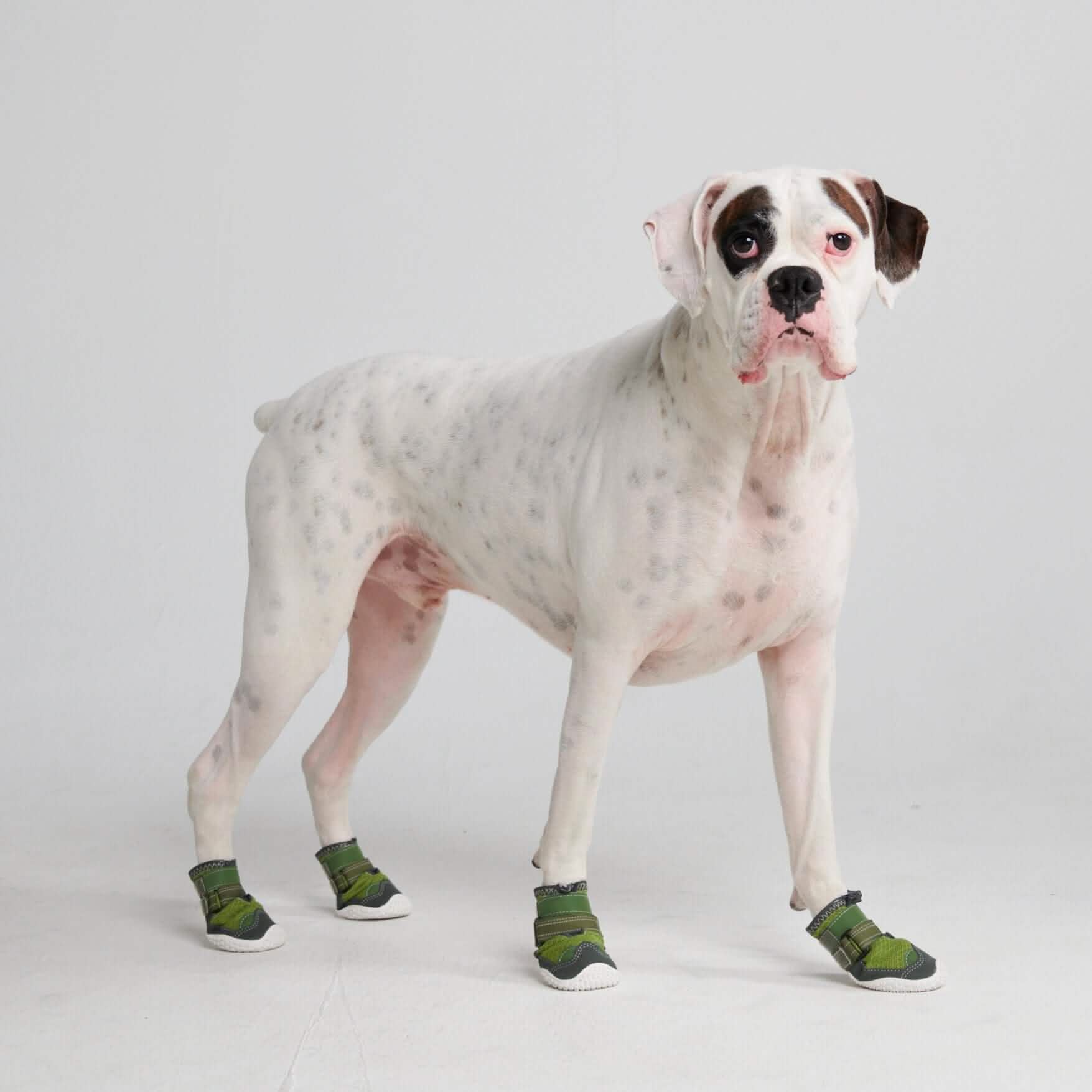 Hot Pavement Pawtector Dog Shoes - Image 9