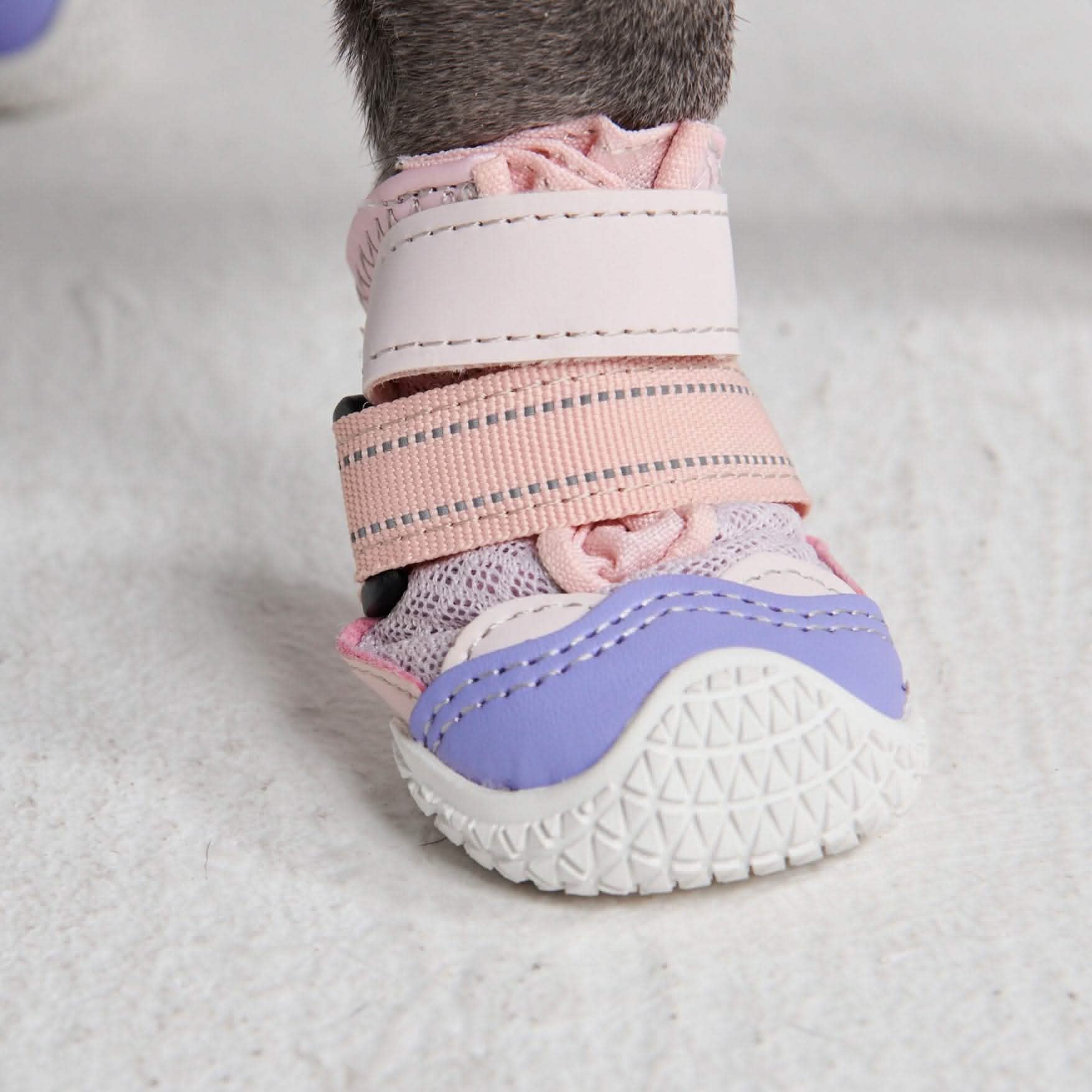 Hot Pavement Pawtector Dog Shoes - Image 3