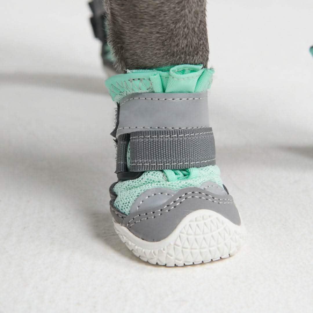 Hot Pavement Pawtector Dog Shoes - Teal - Image 3