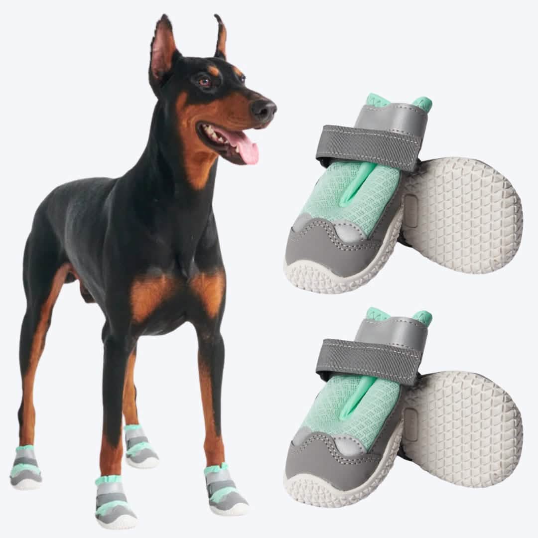 Hot Pavement Pawtector Dog Shoes - Teal - Image 7