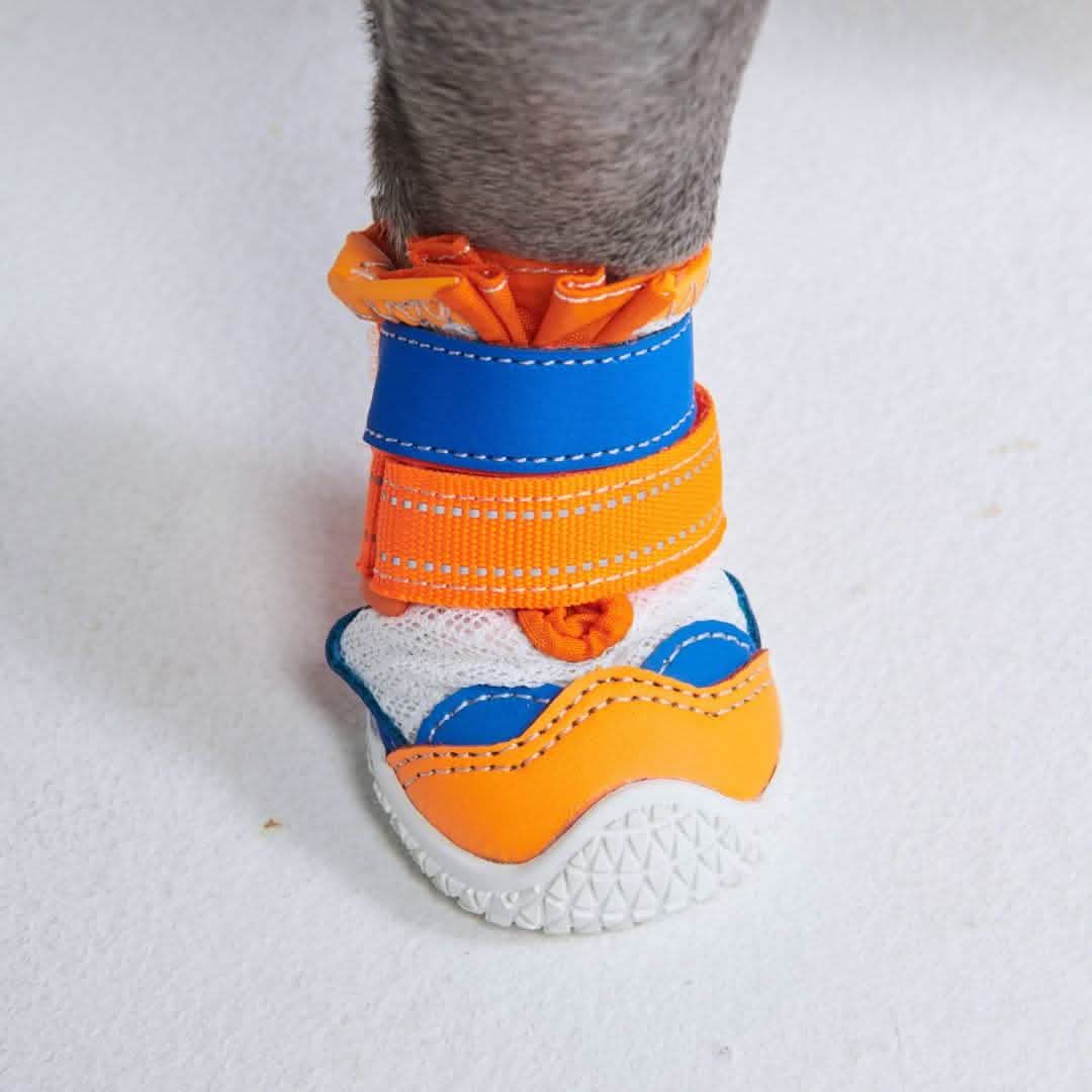 Hot Pavement Pawtector Dog Shoes - Orange Blue - Image 4