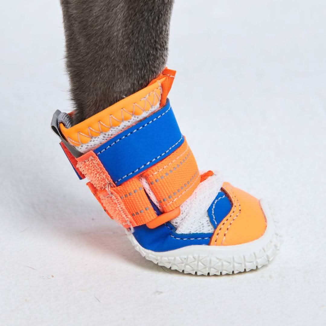Hot Pavement Pawtector Dog Shoes - Orange Blue - Image 6