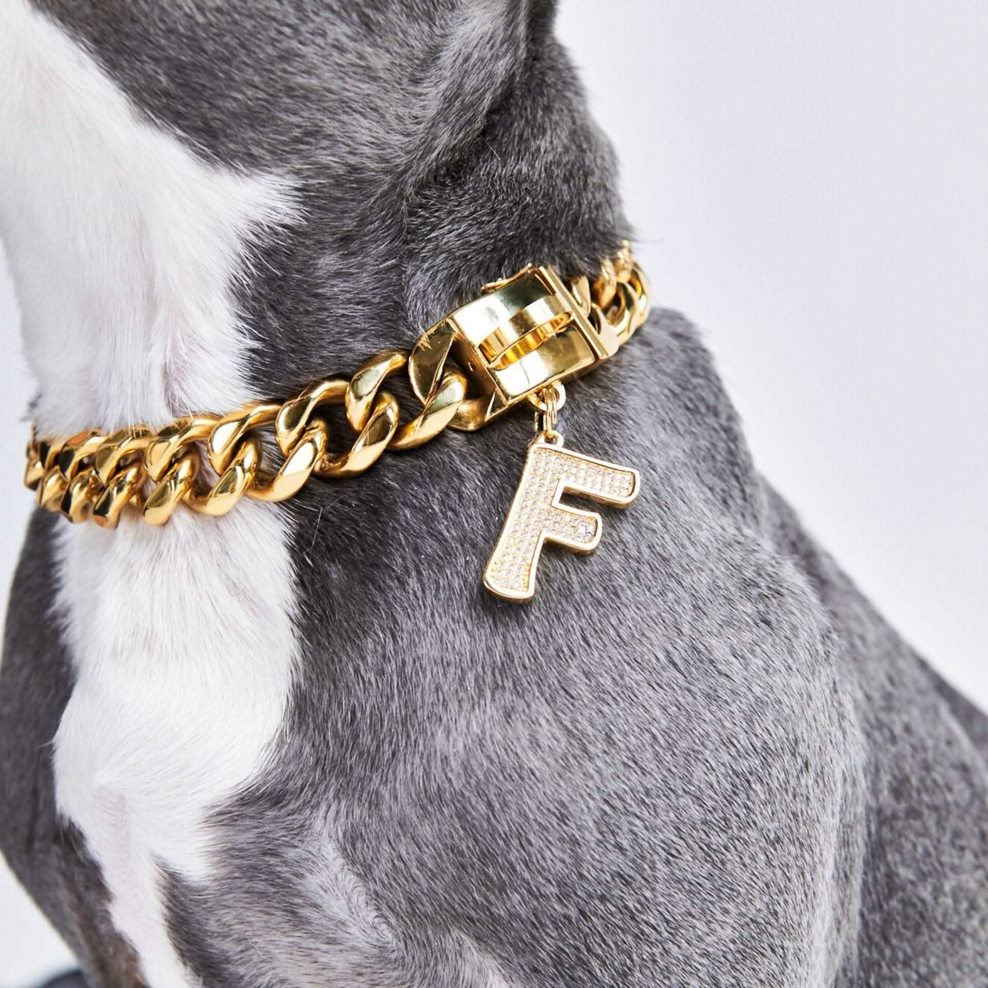Initial Letter Jewelry Tag - F - Image 3