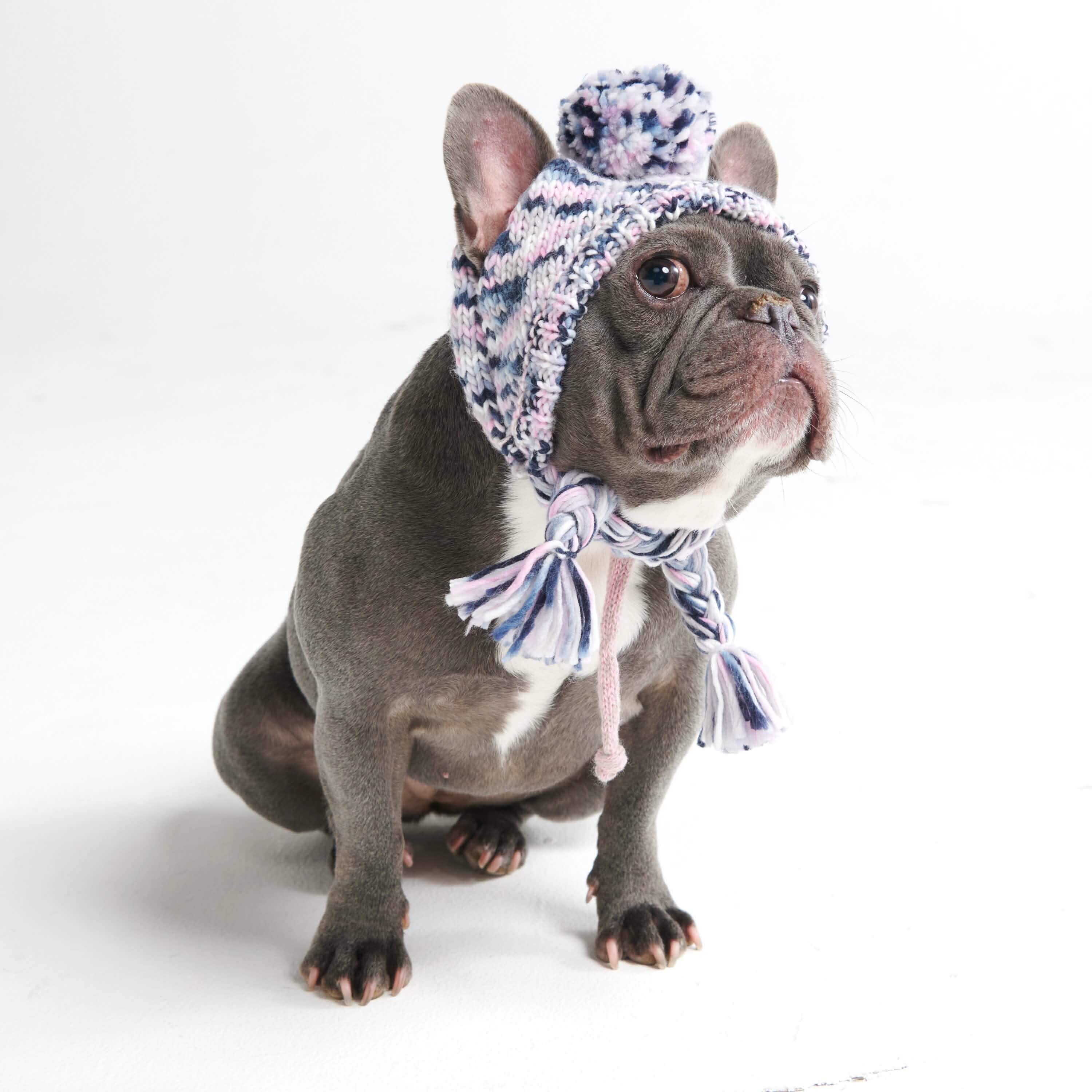 Knit Pom Pom Dog Beanie Hats - Image 11