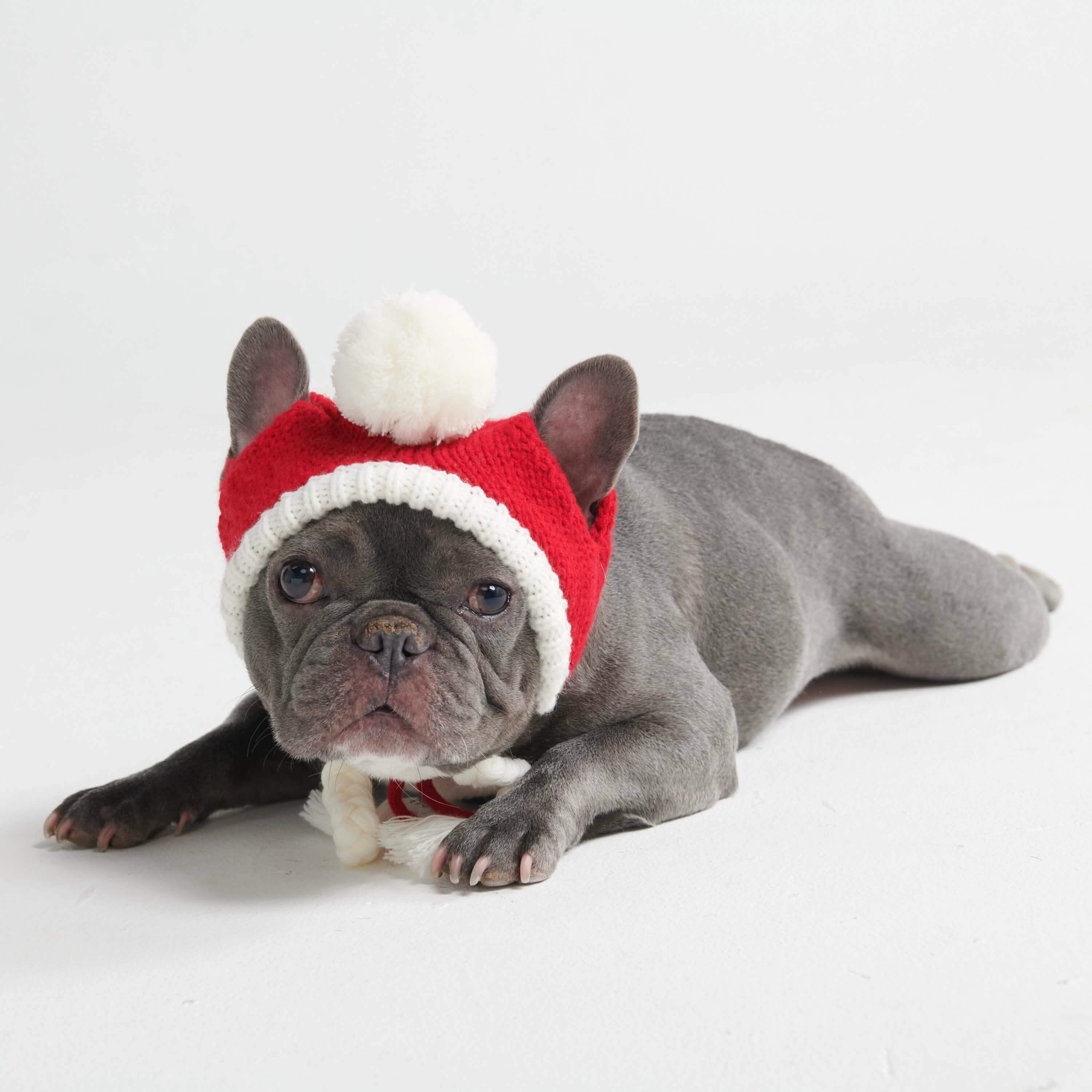 Knit Pom Pom Dog Beanie Hats - Image 16