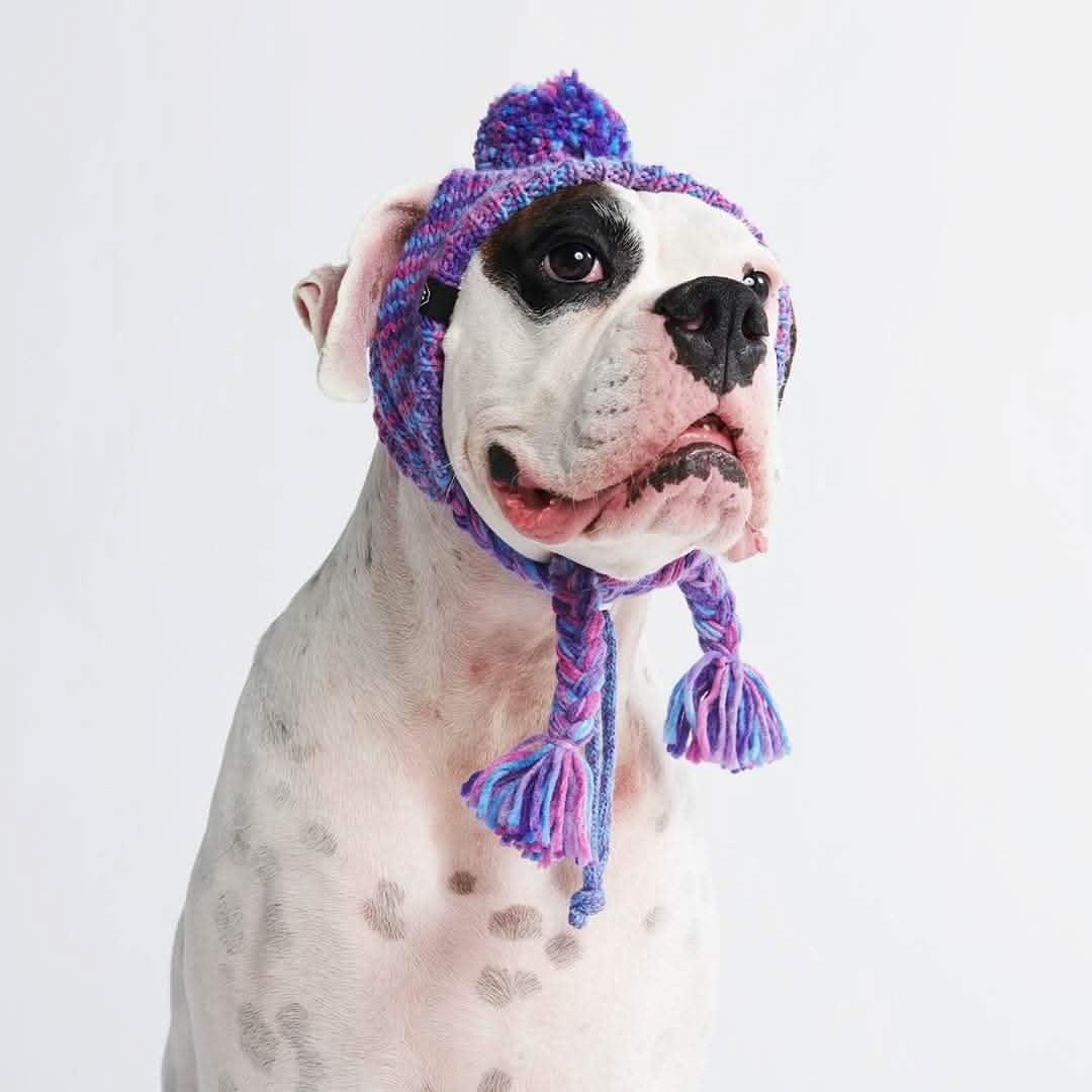 Knit Pom Pom Dog Beanie Hats - Image 3