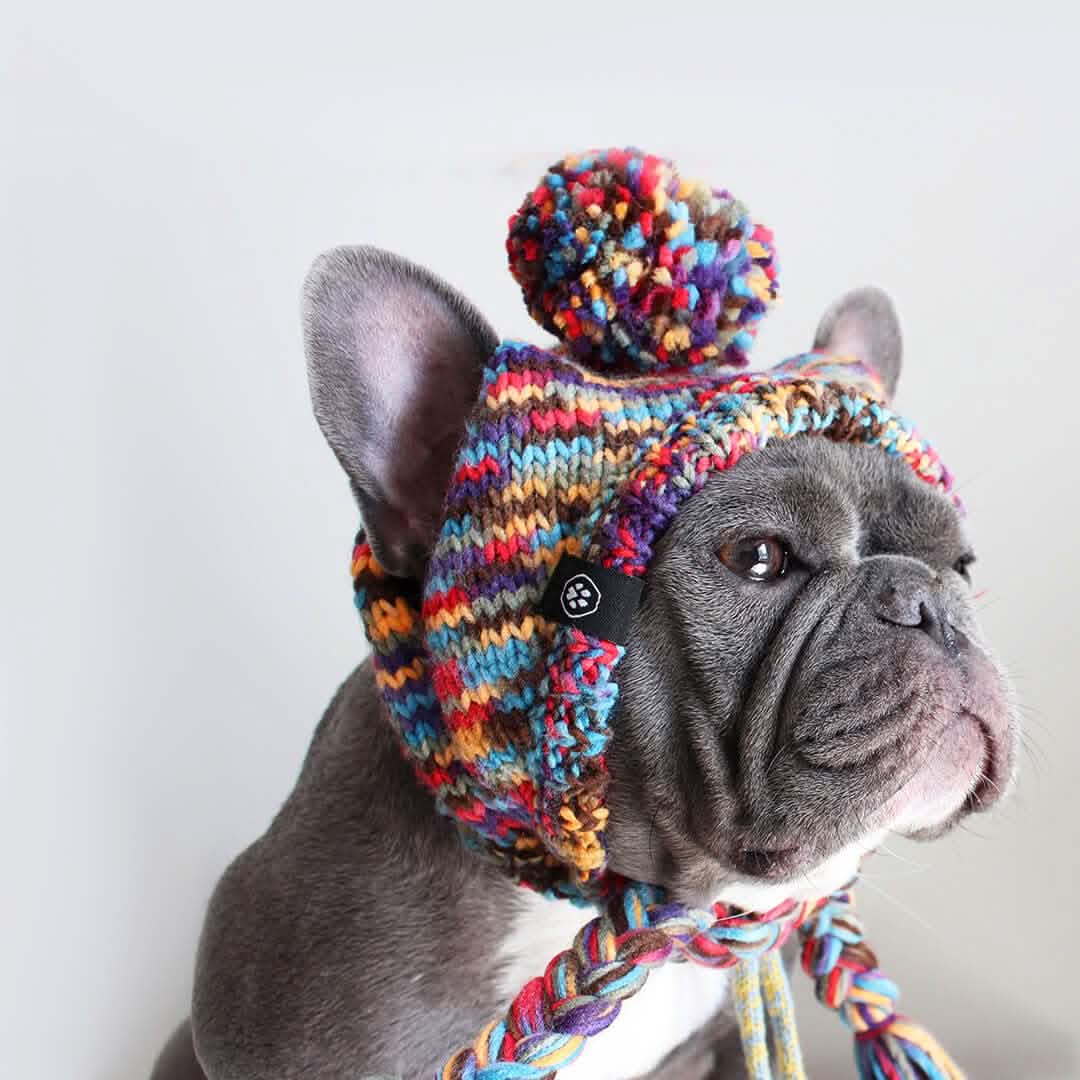 Knit Pom Pom Dog Beanie Hats - Image 5