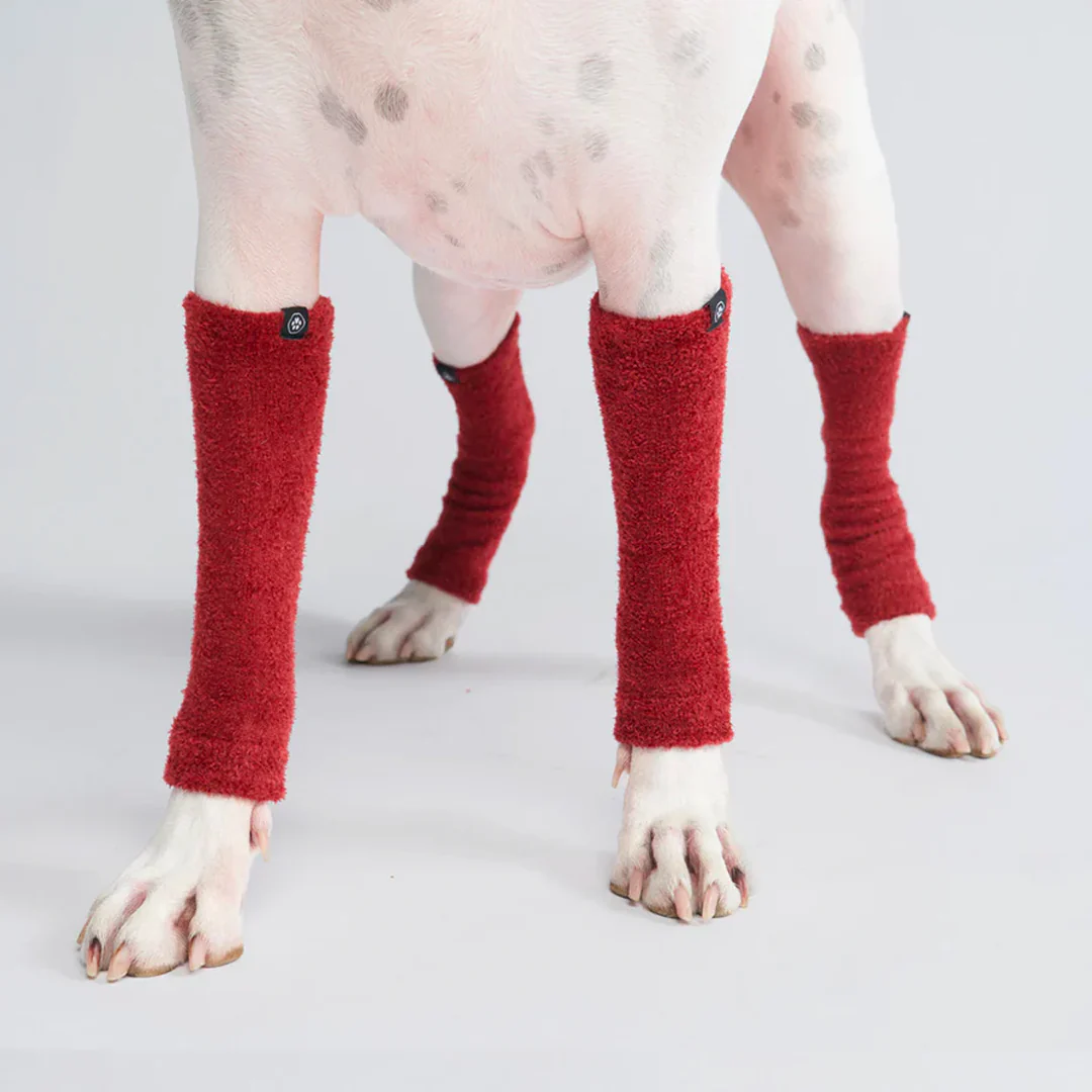 Leg Warmer and Earmuff Protector Set - Red - Image 2