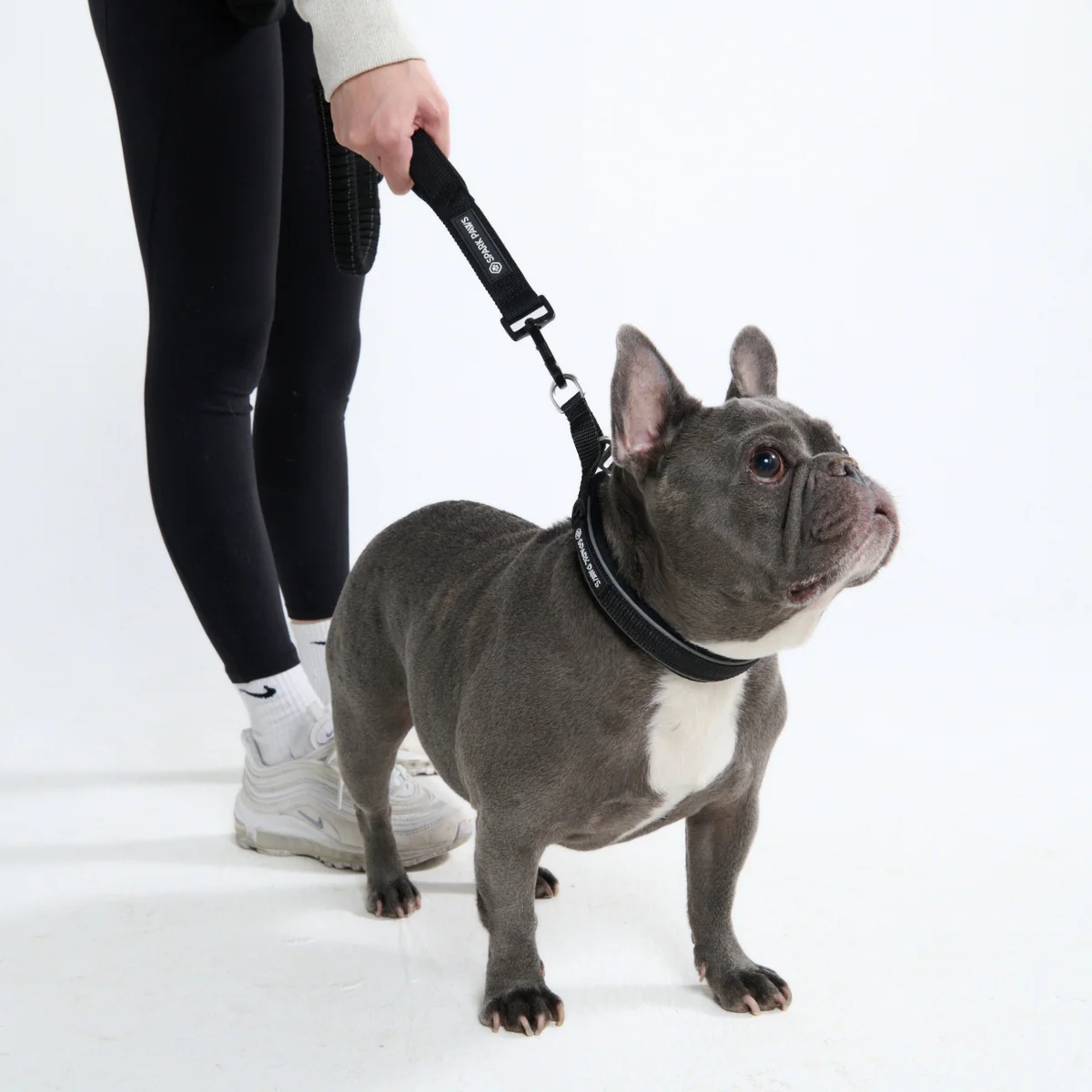 Multipurpose Seatbelt Handsfree Leash & Poop Bag Holder Set - Black - Image 7