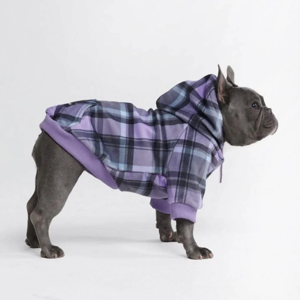 Purple Plaid Dog Hoodie - Image 4