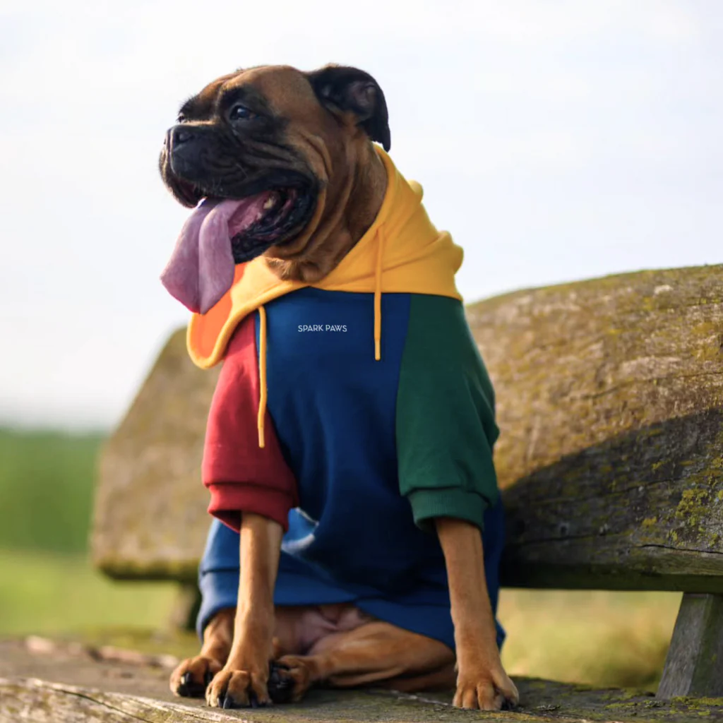 Color Block Dog Hoodies - Image 24