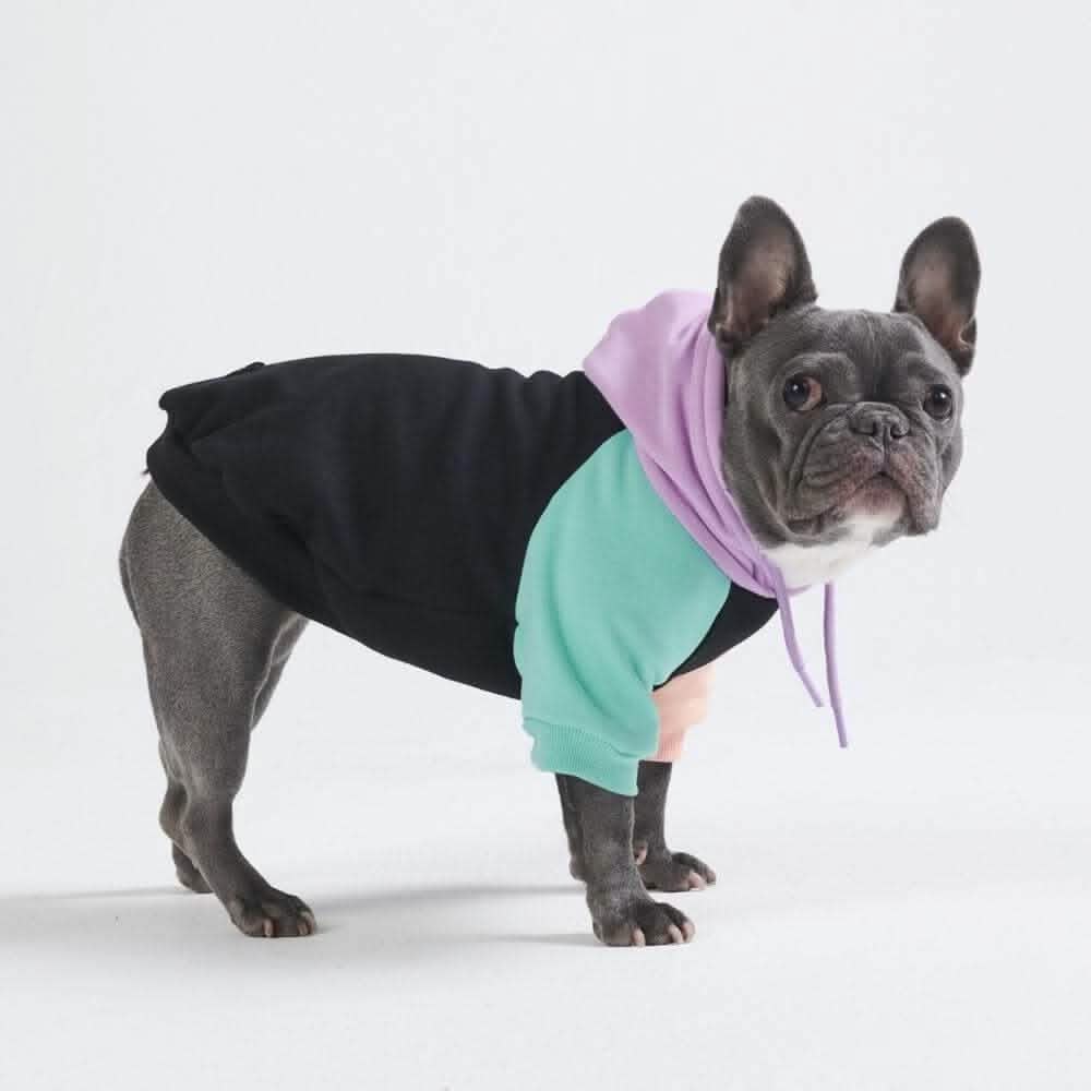 Color Block Dog Hoodies - Image 4