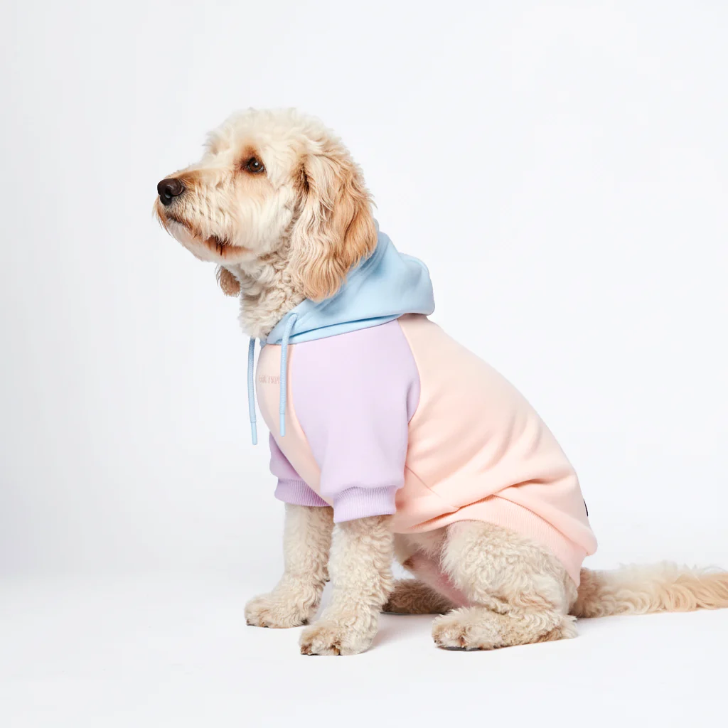 Color Block Dog Hoodies - Image 41