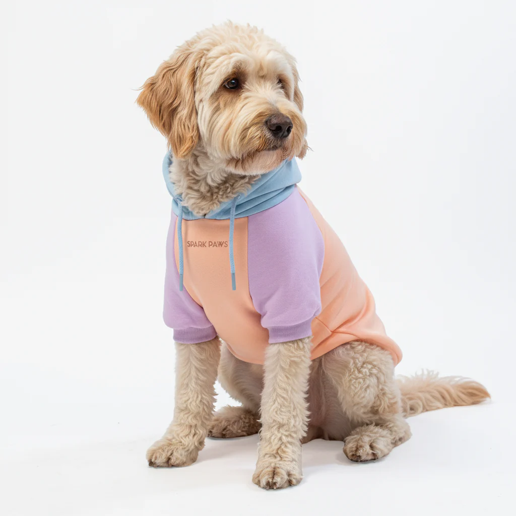 Color Block Dog Hoodies - Image 42