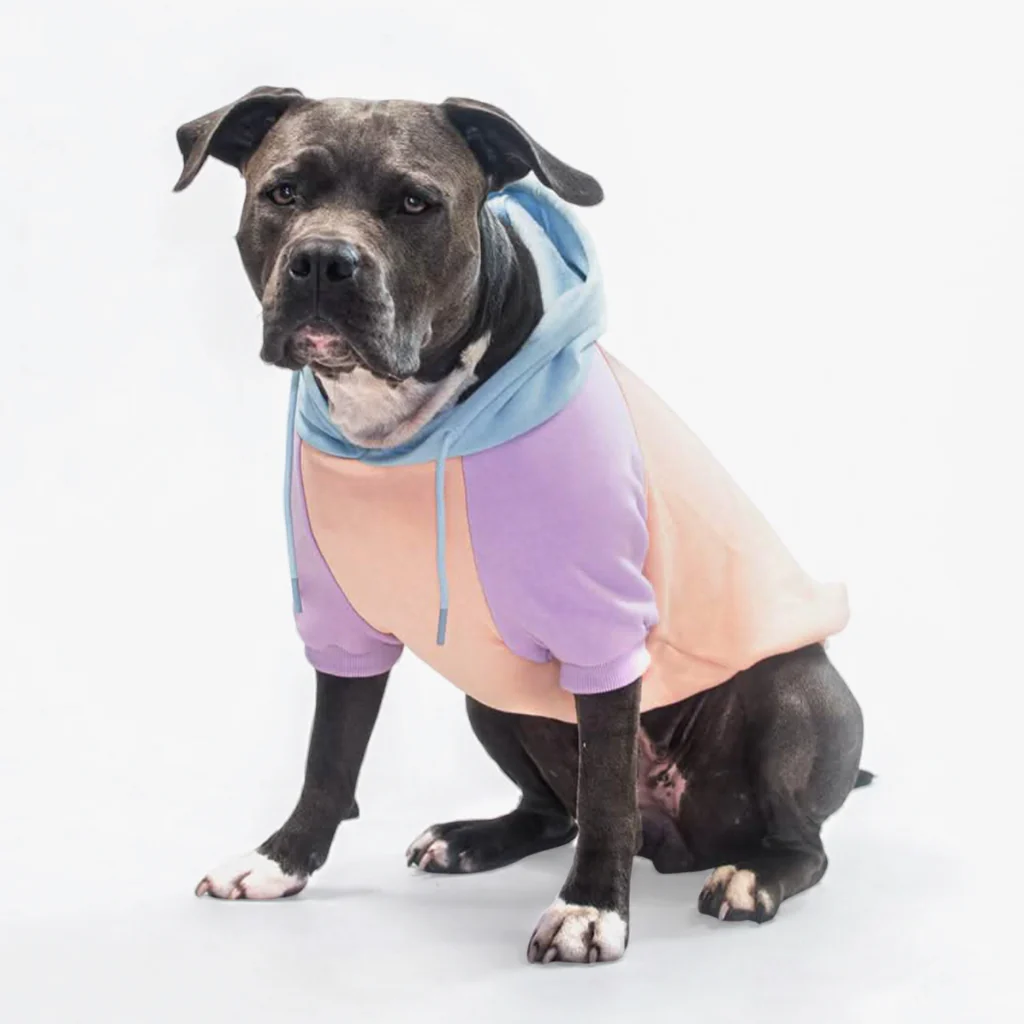 Color Block Dog Hoodies - Image 43