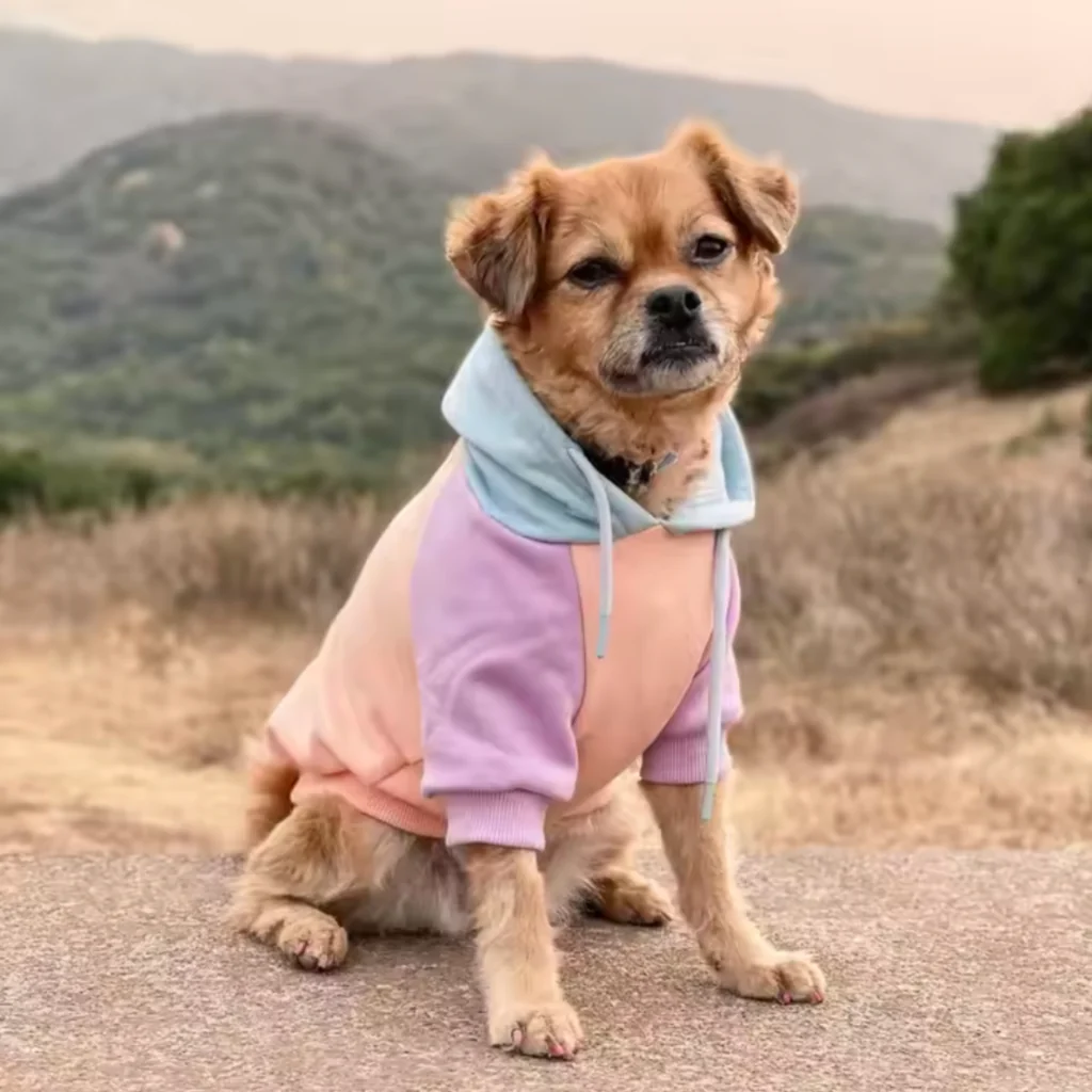 Color Block Dog Hoodies - Image 49
