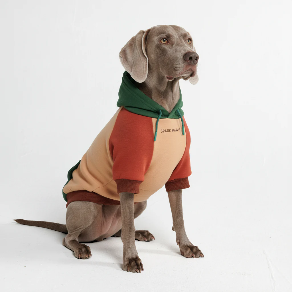Color Block Dog Hoodies - Image 55