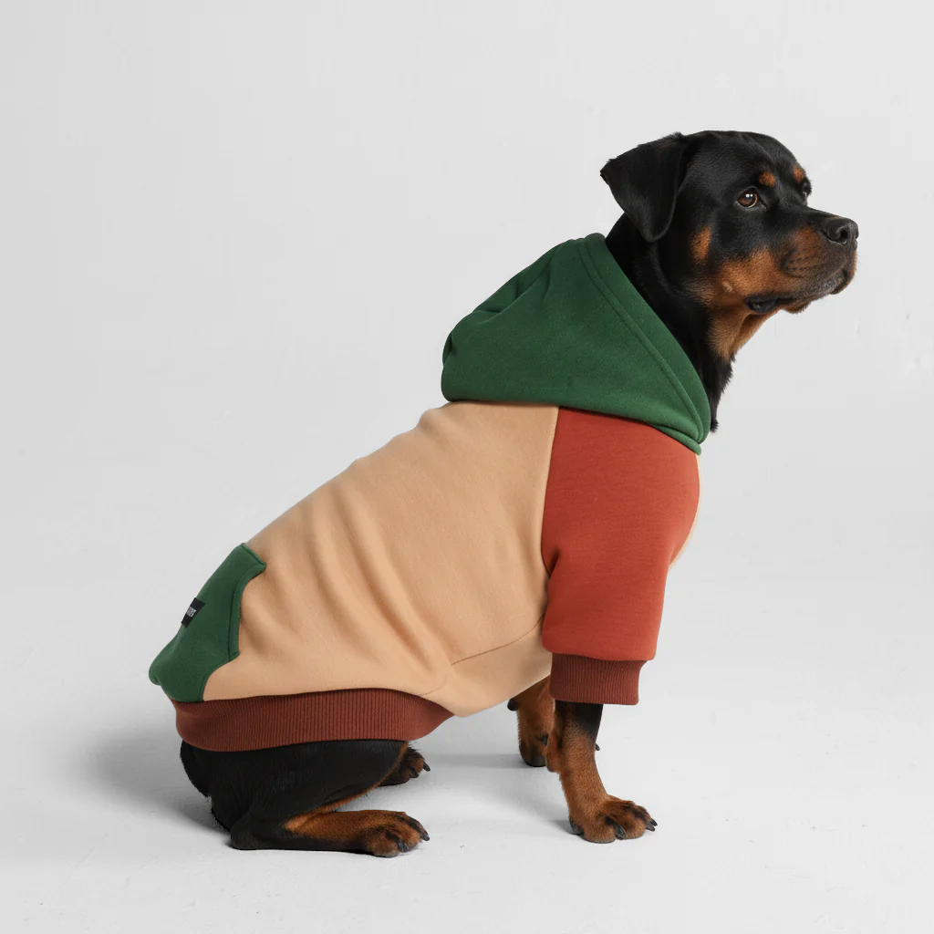 Color Block Dog Hoodies - Image 57