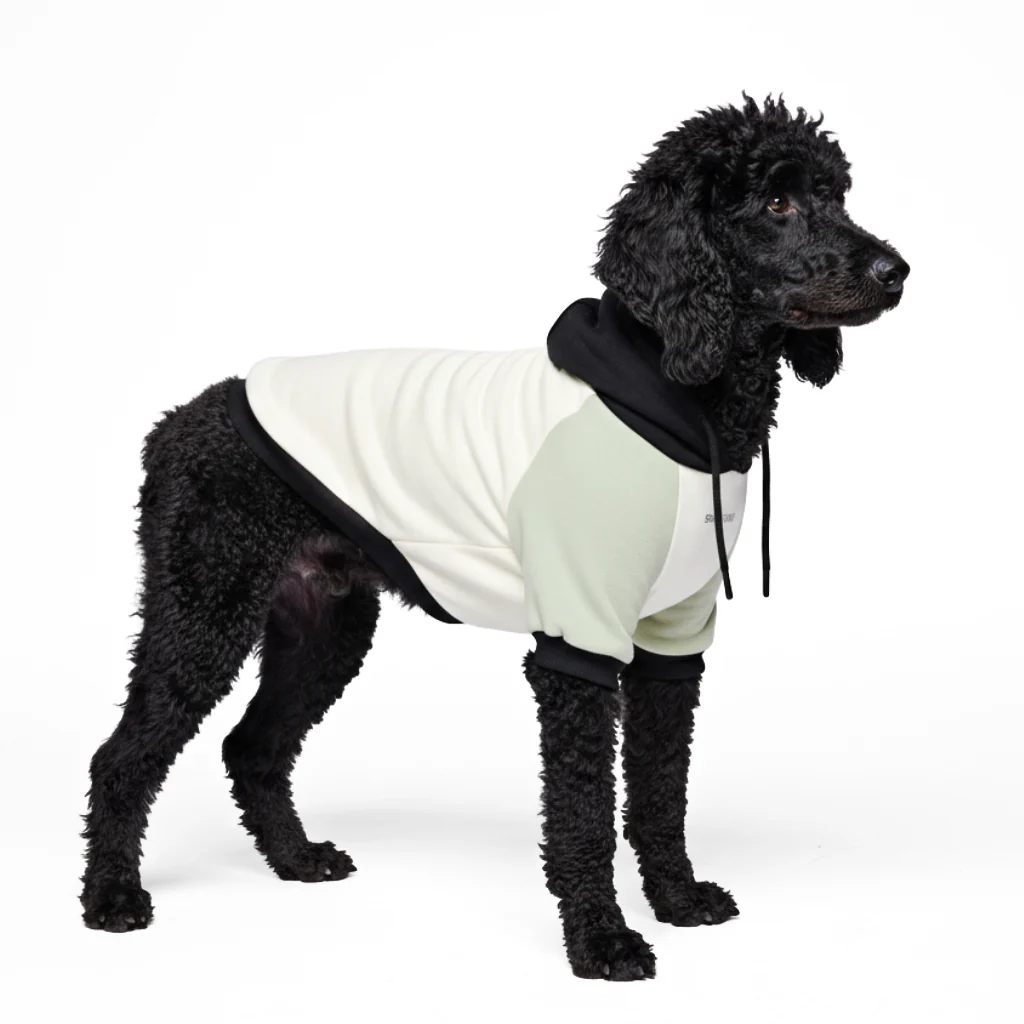 Color Block Dog Hoodies - Image 68