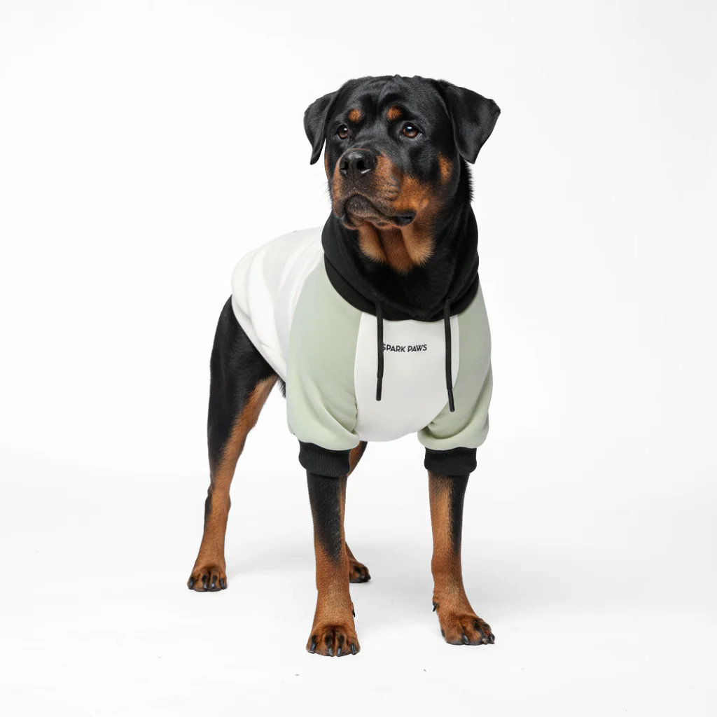 Color Block Dog Hoodies - Image 69