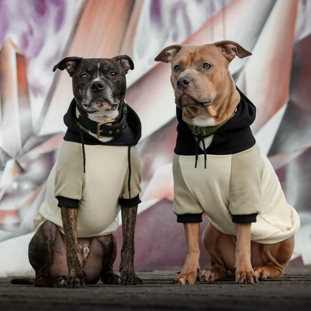 Color Block Dog Hoodies - Image 74