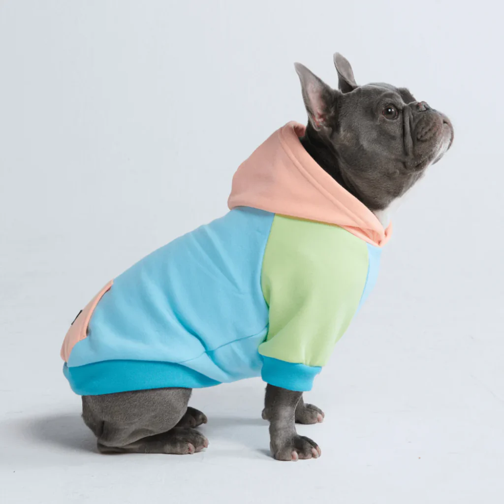 Color Block Dog Hoodies - Image 79