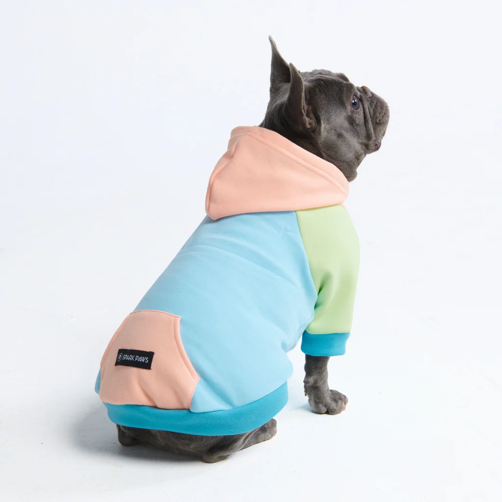 Color Block Dog Hoodies - Image 84