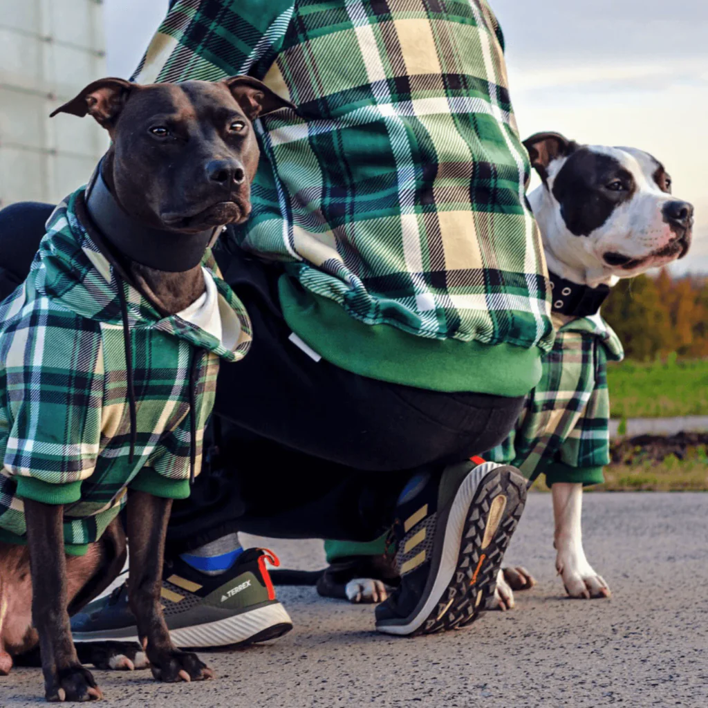 Plaid Dog Hoodies - Image 23