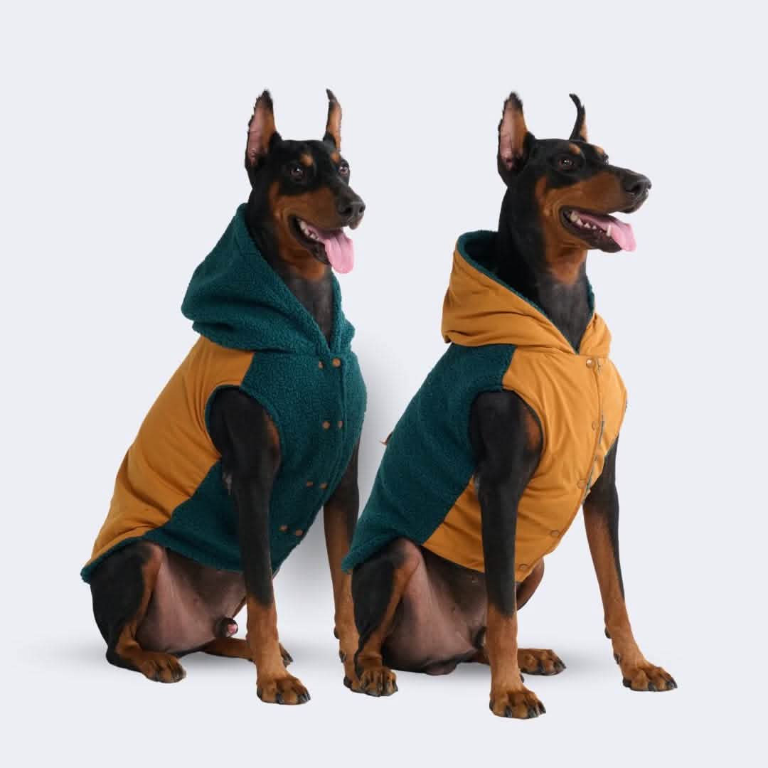 Reversible Jacket - Green and Orange - Image 3