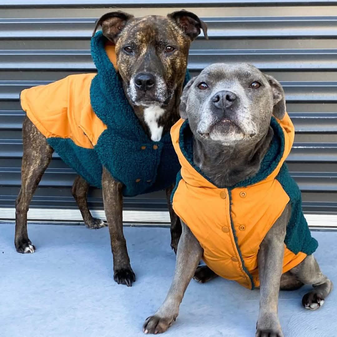 Reversible Sherpa Jackets - Image 11