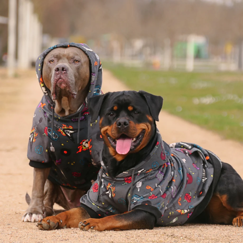 Rock and Roll Dog Hoodie - Image 12