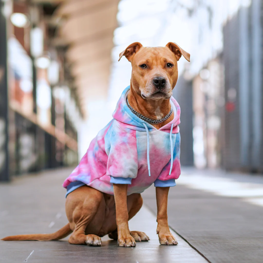 Velvet Dog Hoodies - Image 38