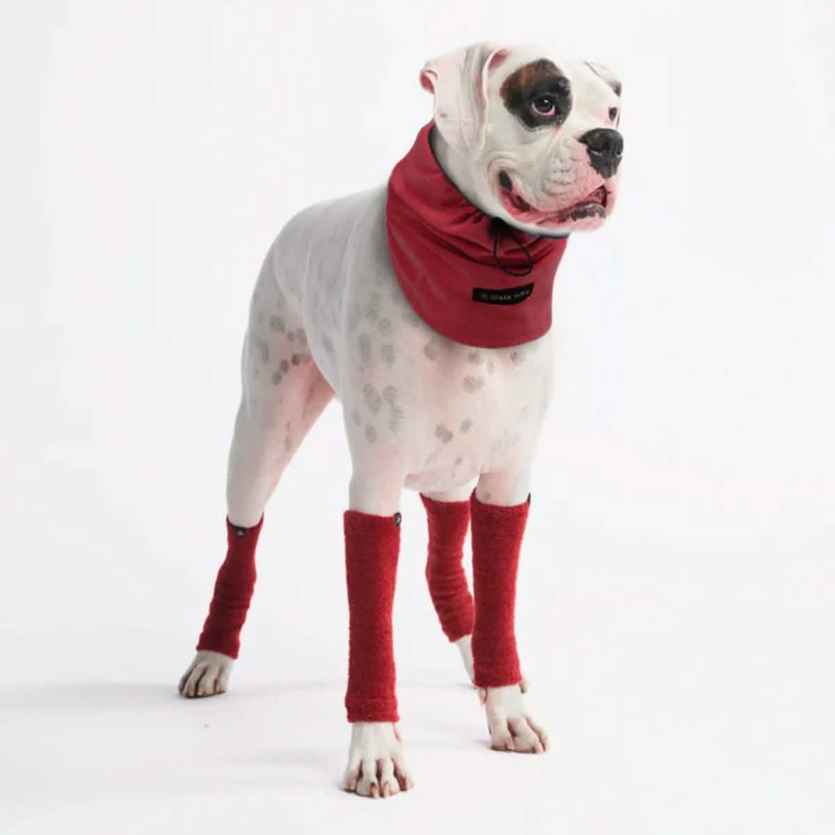Stretchy Fleece Dog Leg Warmer Sleeves - Red - Image 3