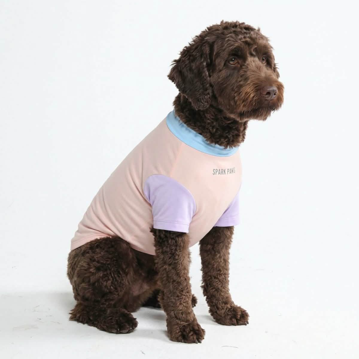 Sunblock Dog T-Shirt - Color Block - Image 10