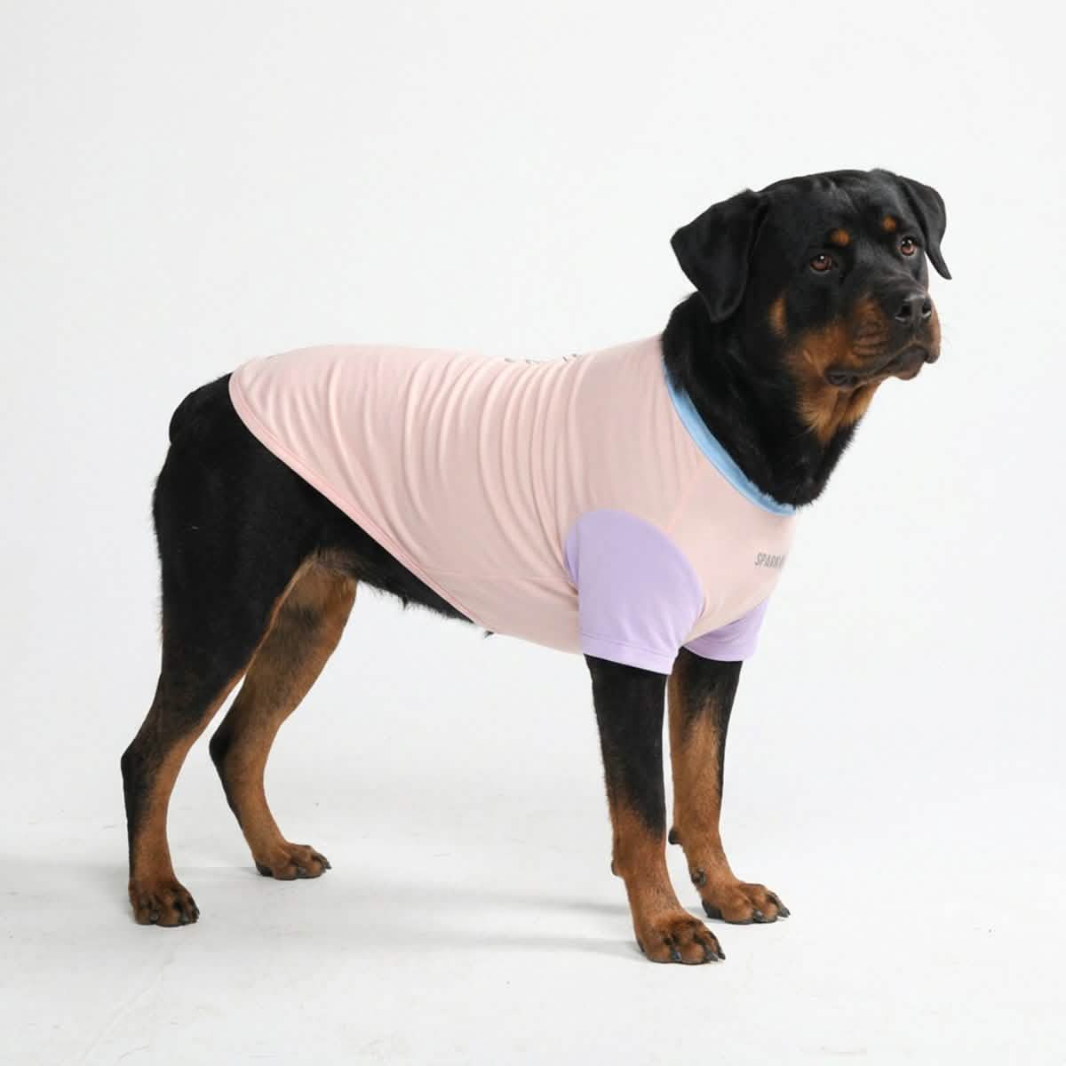 Sunblock Dog T-Shirt - Color Block - Image 12