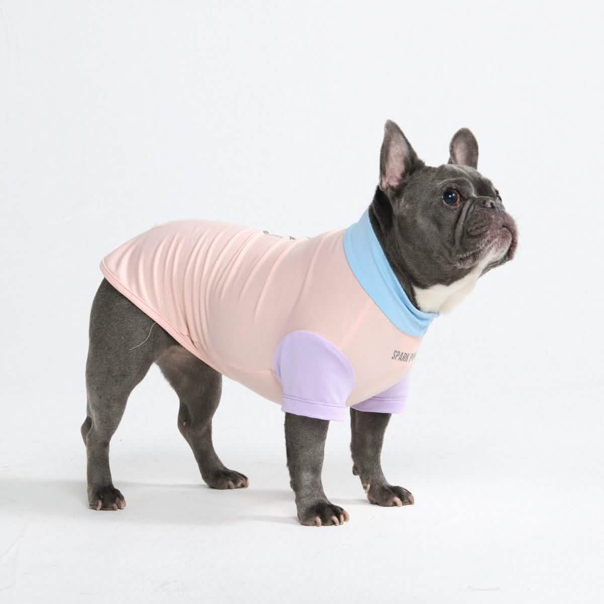 Sunblock Dog T-Shirt - Color Block - Image 13