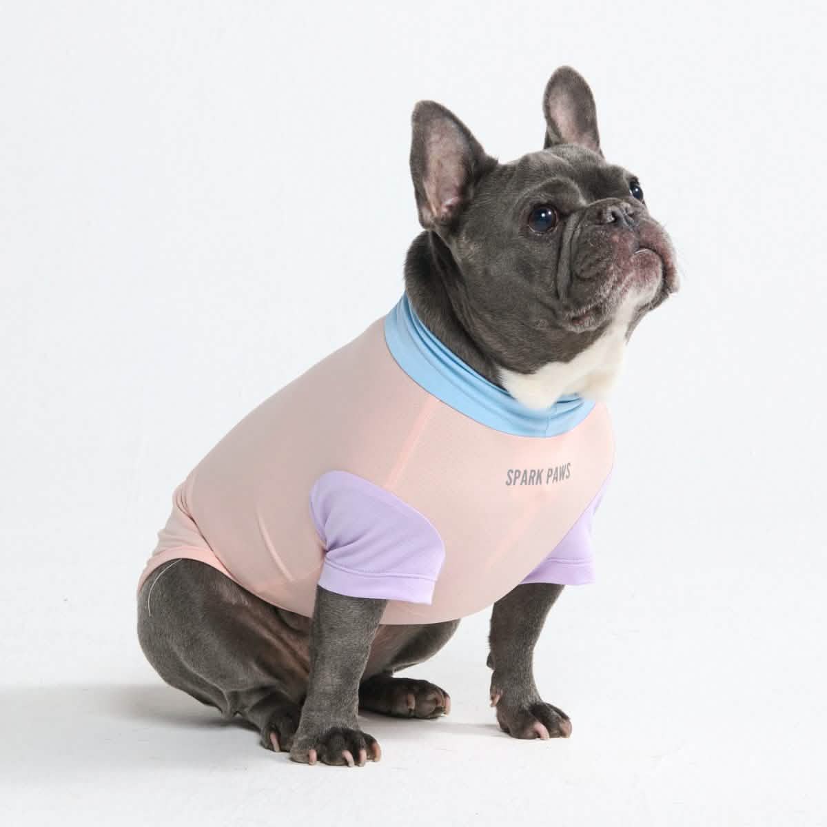 Sunblock Dog T-Shirt - Color Block - Image 14