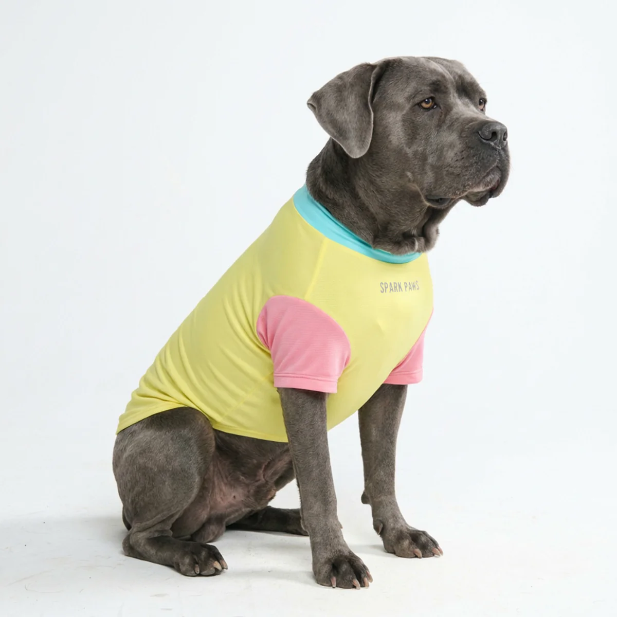 Sunblock Dog T-Shirt - Color Block - Image 17