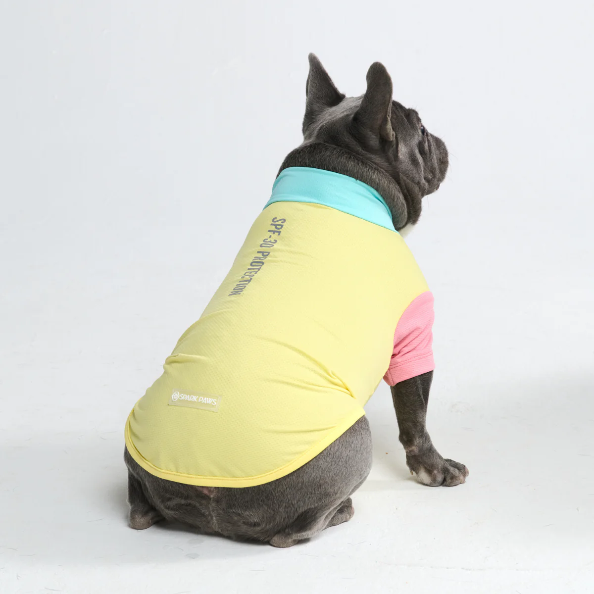Sunblock Dog T-Shirt - Color Block - Image 19