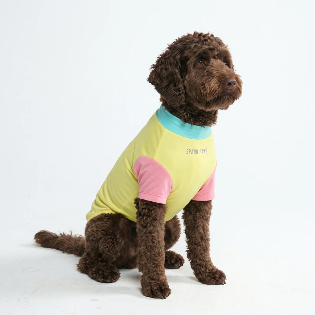 Sunblock Dog T-Shirt - Color Block - Image 20