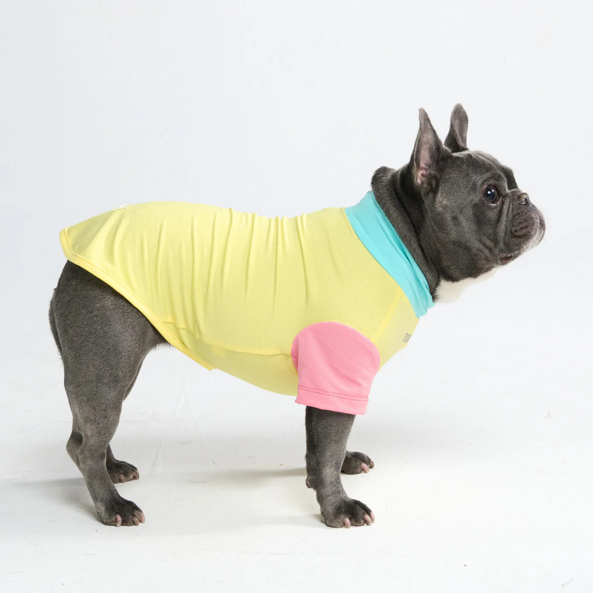 Sunblock Dog T-Shirt - Color Block - Image 21