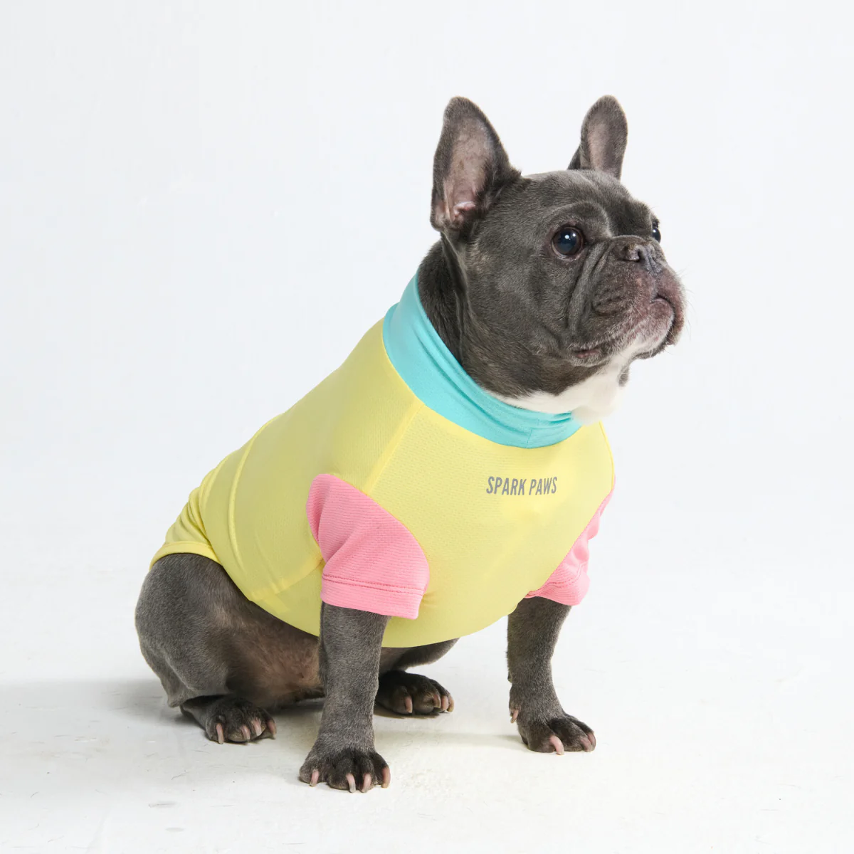 Sunblock Dog T-Shirt - Color Block - Image 22