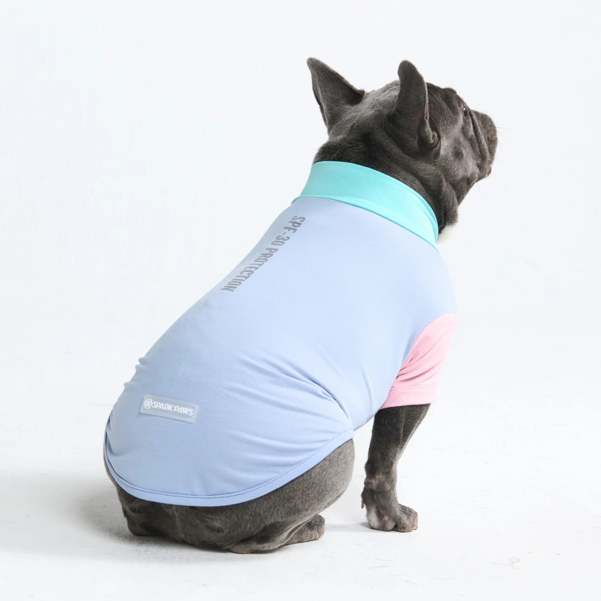 Sunblock Dog T-Shirt - Color Block - Image 3