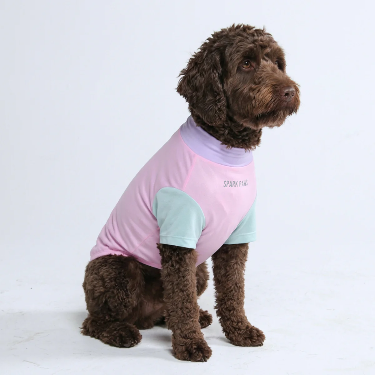 Sunblock Dog T-Shirt - Color Block - Image 33