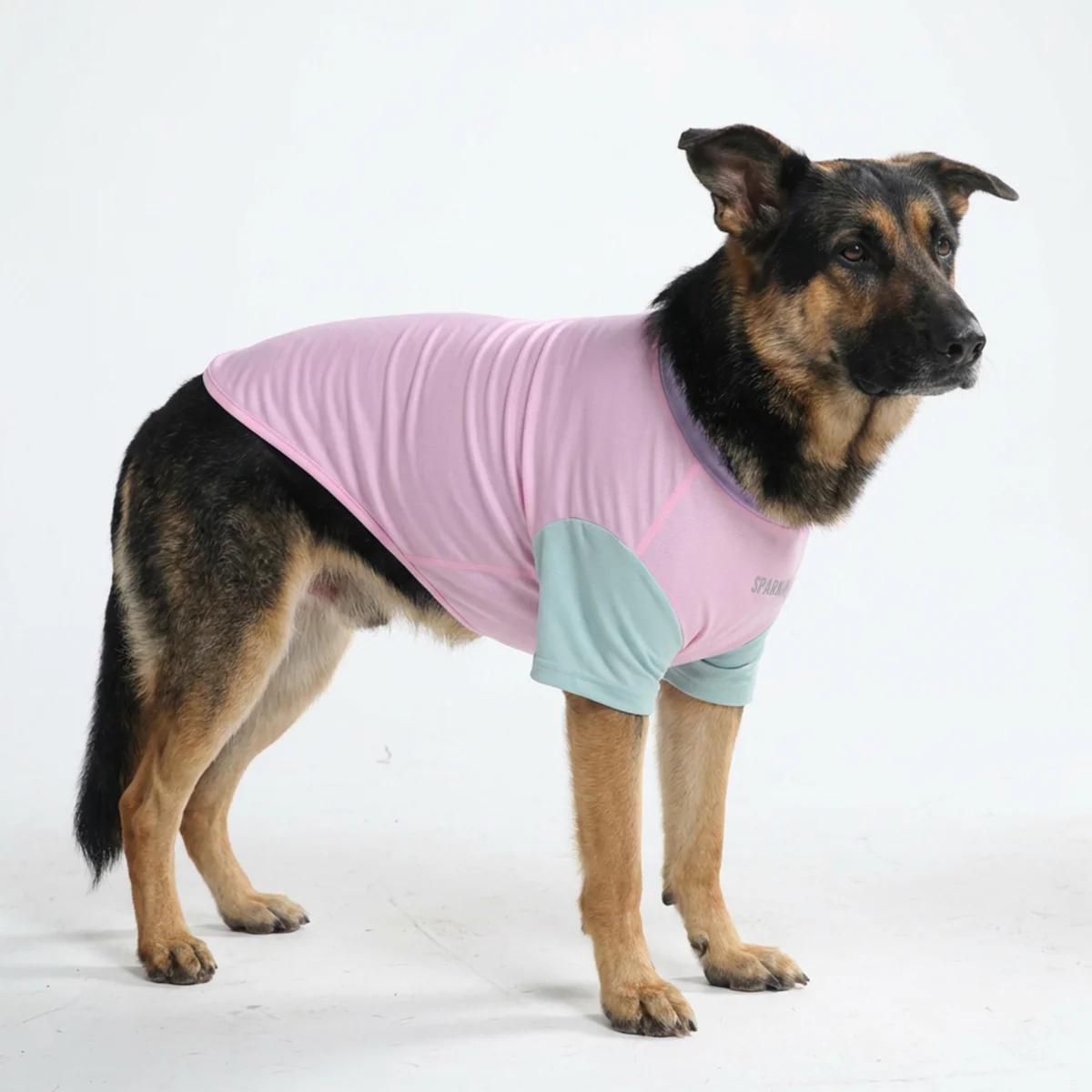 Sunblock Dog T-Shirt - Color Block - Image 36
