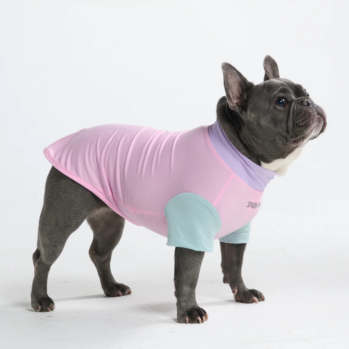 Sunblock Dog T-Shirt - Color Block - Image 37