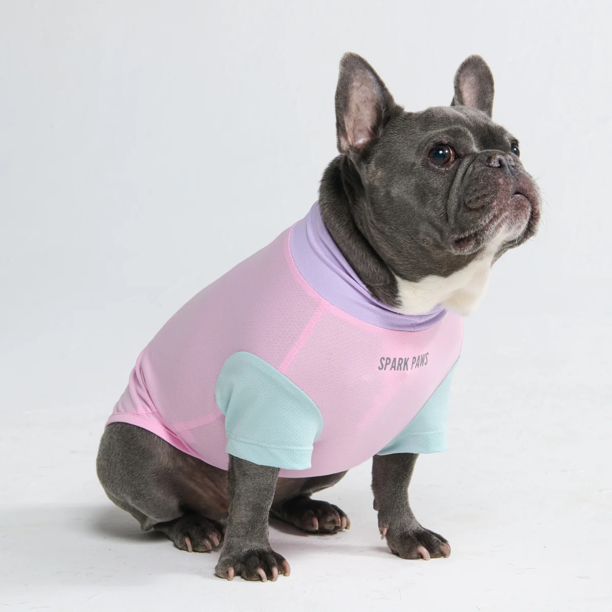 Sunblock Dog T-Shirt - Color Block - Image 38