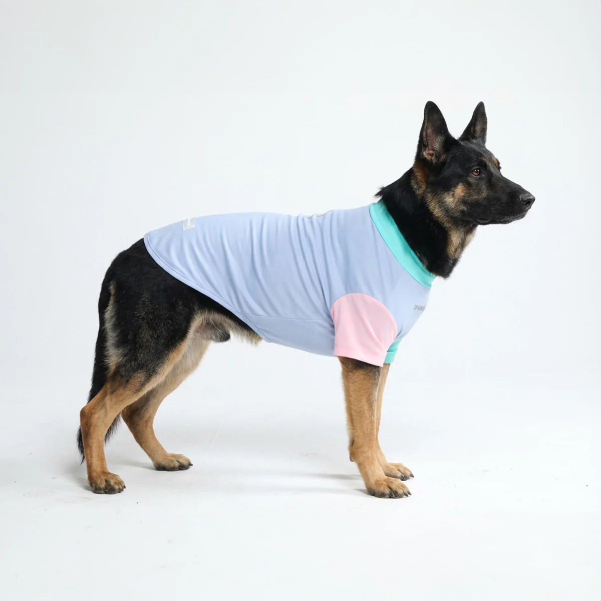 Sunblock Dog T-Shirt - Color Block - Image 4